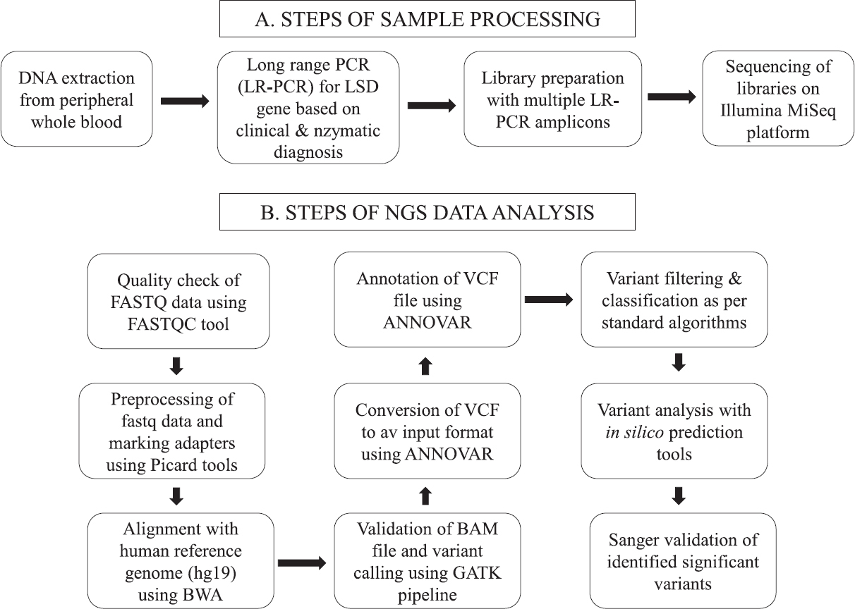 Overview of the study workflow.