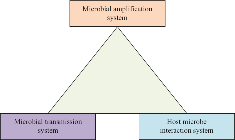 New eco-epidemiology triangle.