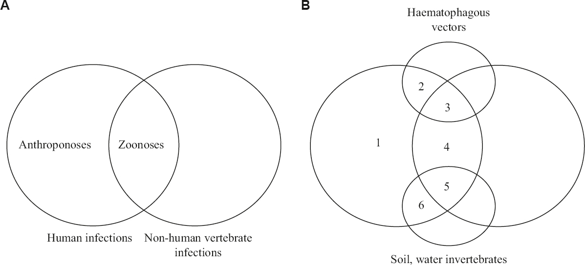 Venn diagram depicting infectious diseases according to microbial amplification and transmission. (A) anthroponoses and zoonoses, (B) six categories of human infectious diseases; 1, directly human to human transmitted anthroponoses (TB, measles, AIDS); 2, vector transmitted anthroponoses (malaria, dengue, leishmaniasis); 3, vector transmitted zoonoses (Crimean-Congo haemorrhagic fever, Zika, KFD, Lyme disease, plague); 4, directly animal to human transmitted zoonoses (rabies, brucellosis, tularemia, cat scratch disease); 5, zoonotic pathogens transmitted via the environment (leptospirosis, hantavirus pulmonary syndrome, cutaneous anthrax, salmonellosis); 6, sapronoses amnd all non-zoonotic pathogens transmitted via the environment (melioidoses, legionellosis, Q fever, buruli ulcer disease, anthrax, cryptococcosis, primary amoebic meningeoencephalitis). TB, tuberculosis; KFD, Kyasanur forest disease. Source: Ref 34 (adapted with permission).
