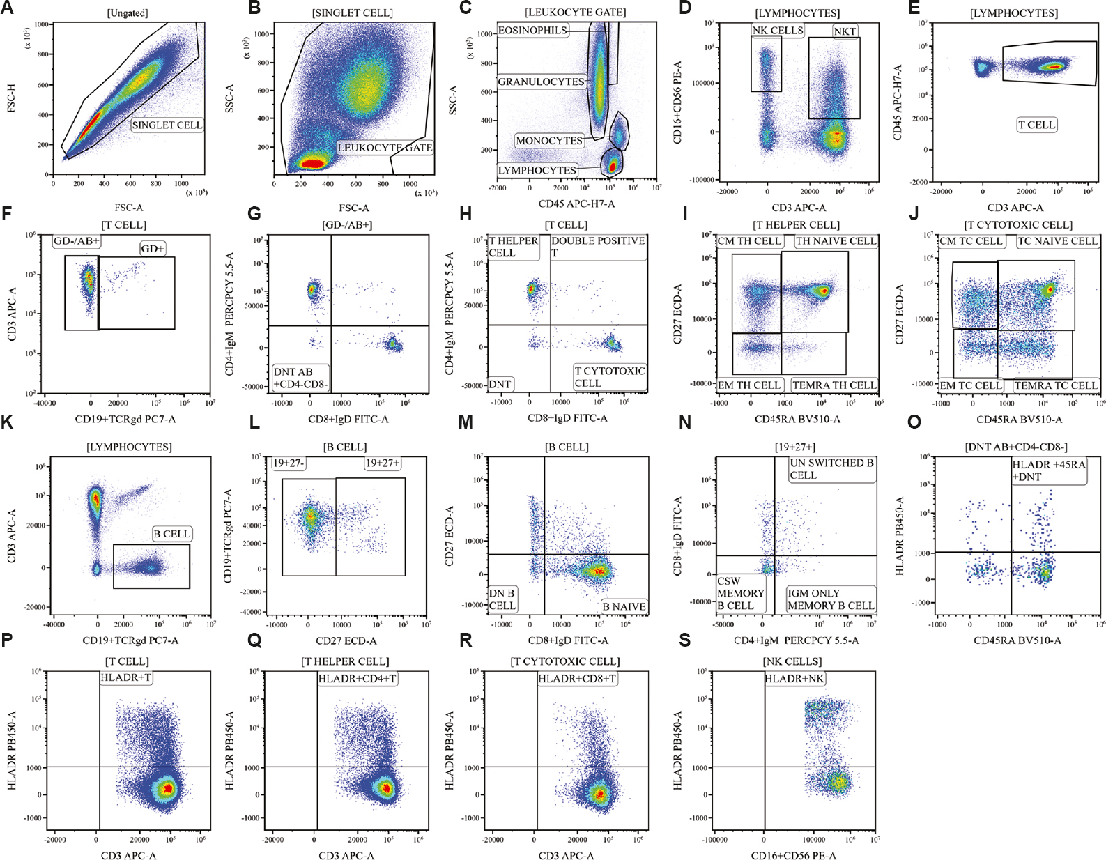 Stepwise gating strategy for lymphocytes, general lymphocyte subpopulation, T, B, NK and activated cell subpopulations. (A) FSC-H vs. FSC-A plot was used to remove doublets and cell debris. (B) Singlet cells were further plotted against SSC-A vs. FSC-A. (C) SSC-A vs. CD45 was used to gate lymphocytes, based on low forward/side scatter and bright CD45. (D) Density plot demonstrating NK cells (CD3- CD16/CD56+) and NKT cells (CD3+ CD16/CD56+). (E) T cells were gated using CD45 and CD3. (F-J) T cell populations were distinguished depending on CD4, CD8, CD27, CD45RA and TCRgd expression. (K-N) B cells were gated as CD19+CD3- and the subpopulations were distinguished depending on IgD, IgM and CD27 expression. (O-S) HLA-DR was used to access the activation status on DNTs, T, Tc, Th, NK cells respectively. The names written above the plot [name] represent the parent gate. NK, natural killer