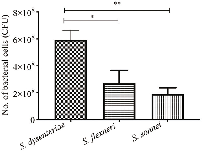 Bacterial cell retrieval after 24 h post infection. All experiments were conducted in triplicates. P *<0.05, **<0.01. S. dysenteriae, Shigella dysenteriae; S. flexneri, Shigella flexneri, S. sonnei, Shigella sonnei