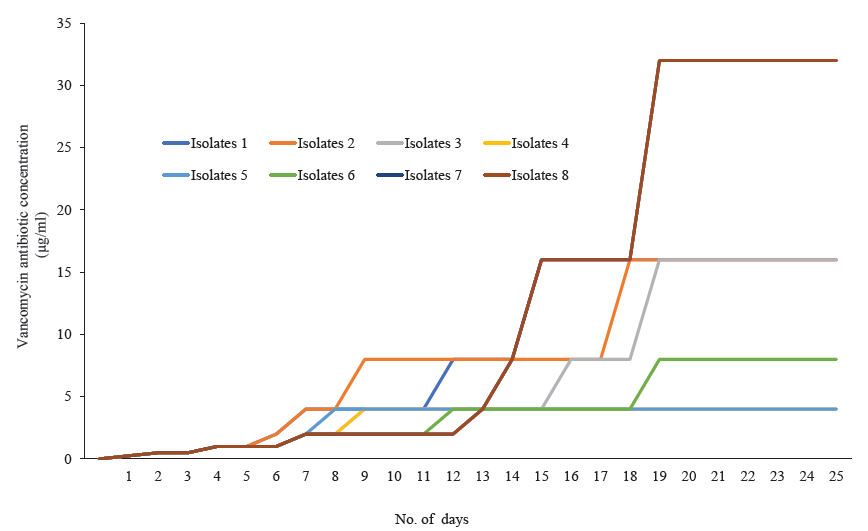 Four Staphylococcus aureus isolates (isolates 1, 4, 6, 7) showing the minimum inhibitory concentration (MIC) creep phenomenon against vancomycin.