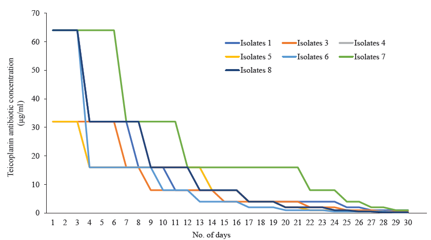 Revertant analysis of seven S. aureus isolates that showed MIC creep against teicoplanin have reverted back to their respective original MIC on withdrawn of teicoplanin pressure.