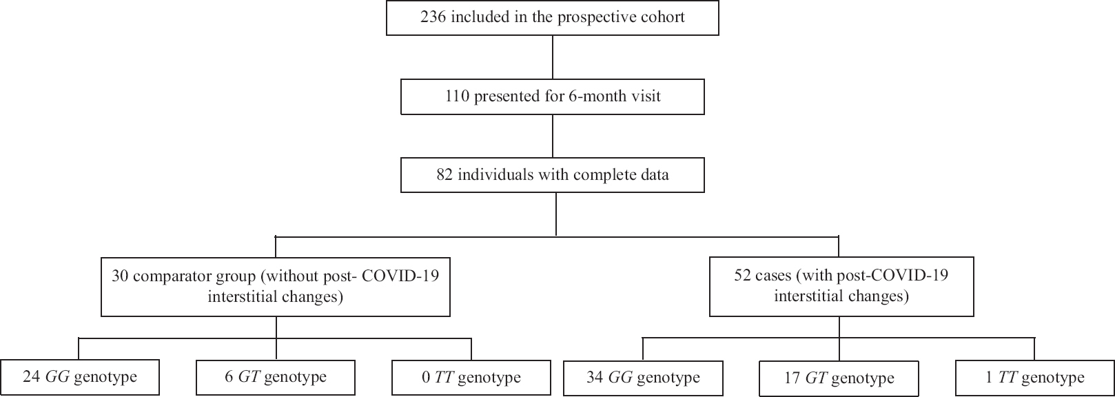 Study flow and major findings. COVID-19, coronavirus disease 2019; GG, GT and TT genotypes represent wild-type, heterozygous and homozygous subjects for the risk allele (T) of the rs35705950 polymorphism in the MUC5B gene.