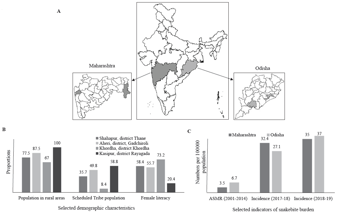 (A) Map of Maharashtra and Odisha States in India highlighting the study districts. (B) Selected demographic characteristics of study blocks (numbers are proportions). (C) Selected indicators depicting snakebite burden in both States (numbers per 100000 population). ASMR – Age Standardized Mortality Rate. Source: Maps generated in R-studio based on Administrative Boundary Database provided by Onlinemaps portal of Survey of India, Ministry of Science & Technology (https://onlinemaps.surveyofindia.gov.in/Home.aspx).