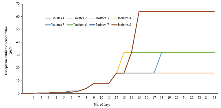 Seven S. aureus isolates (isolates 1, 3, 4, 5, 6, 7, 8) showing the minimum inhibitory concentration (MIC) creep phenomenon against teicoplanin.