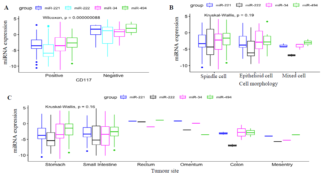 miRNA expression level and its association with histological features. (A) KIT immunostaining: miRNAs expression levels in KIT-negative and KIT-positive tumours exhibited a substantial difference (P value: 0.00000008). miRNAs were significantly down-regulated in KIT-positive tumours whereas, KIT-negative tumours displayed the exact opposite expression pattern as KIT-positive tumours. (B) Cellular morphology: miRNAs were found down-regulated in the majority of the spindle subtype (P value=0.16). However, these did not showed any significant correlation with epithelioid and mixed sub-types. (C) Primary tumour sites: majority of the gastric and small intestinal GIST showed increased expression level (P value=0.19) however; there were no significant correlation with other primary tumour.