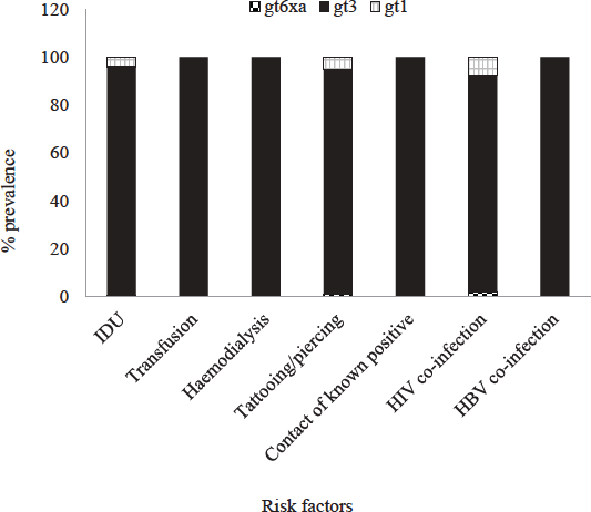 Distribution of hepatitis C virus (HCV) genotypes according to risk factors. HIV, human immunodeficiency virus; HBV, hepatitis B virus.