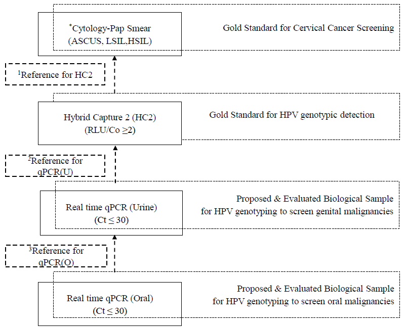 Algorithm for performance characteristics of different techniques for HPV DNA Assay and its matrix for understanding the comparison between samples and between techniques. Pap, papanicolaou test; ASCUS, atypical squamous cells of undetermined signiﬁcance; LSIL, low grade squamous intraepithelial lesion; HSIL, high grade squamous intraepithelial lesion; qPCR, quantitative real time PCR; U, urine; O, oral, Ct, cycle threshold, RLU/Co, relative light unit per cut off. *Pap positive was any sample with cytology reports including ASCUS, LSIL and HSIL, 1Pap used as reference gold standard for comparing the performance of HC2. 2HC2 taken as reference gold standard for comparing the performance of qPCR(U), 3qPCR(U) taken as reference point for comparing the performance of qPCR(O). Note: *Pap is the only gold standard technique used as single reference point in ROC to assess the performance of HC2, qPCR(U) and qPCR(O)