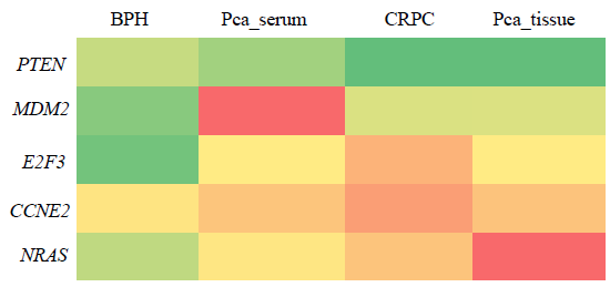 The heatmap of correlation of miR-363 with target gene expression (NRAS, E2F3, CCNE2, MDM2, PTEN and PIK3R3). Red indicates the lowest value, orange indicates mid percentile at 50 and green indicates the highest value (Significance at P*> 0.05).