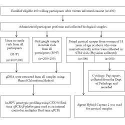 Article figure