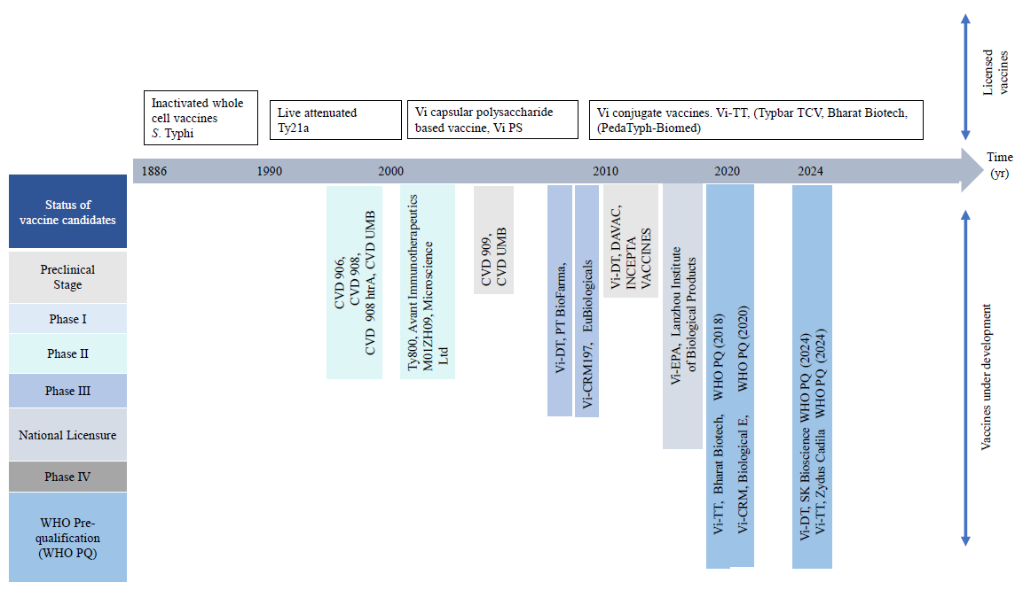 Typhoid vaccine pipeline. This figure provides an overview of the current status and development stages of typhoid vaccine candidates. CVD-UMB, Center for vaccine development University of Maryland; ViPS, Vi capsular polysaccharide; Vi-EPA, Vi polysaccharide conjugated to Pseudomonas aeruginosa exotoxin A (rEPA); Vi-DT, Vi polysaccharide conjugated to diphtheria toxoid.