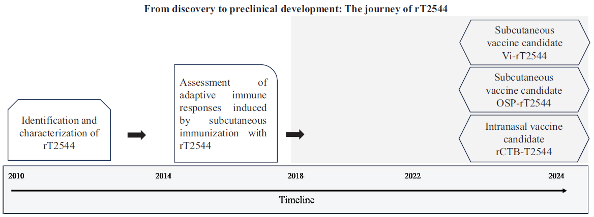 Progression of vaccine candidate from discovery to preclinical development. This figure maps the path of our vaccine candidates, tracing its evolution from initial discovery to preclinical development stage. rT2544, outer membrane protein of Salmonella Typhi and Paratyphi; rCTB-T2544, Cholera toxin B genetically fused to T2544; OSP-rT2544, O-polysaccharide of S. Typhimurium chemically linked to T2544; Vi-rT2544, Vi polysaccharide chemically linked to T2544.