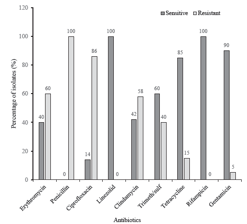 Antibiotic susceptibility pattern of MSSA.