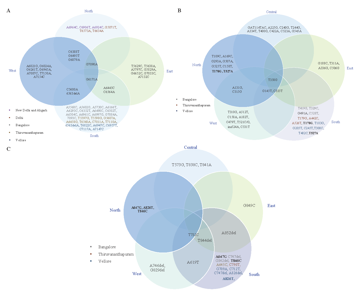 Distribution of HPV16 non-synonymous variations within different regions of India (A) L1 variations, (B) E6 variations, and (C) E7 variations (different colors in text represents different locations from the same region).