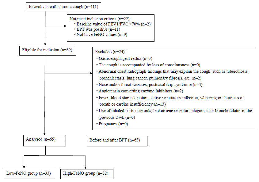 Enrollment flow chart of the study. BPT, bronchial provocation test; FeNO, fractional exhaled nitric oxide.