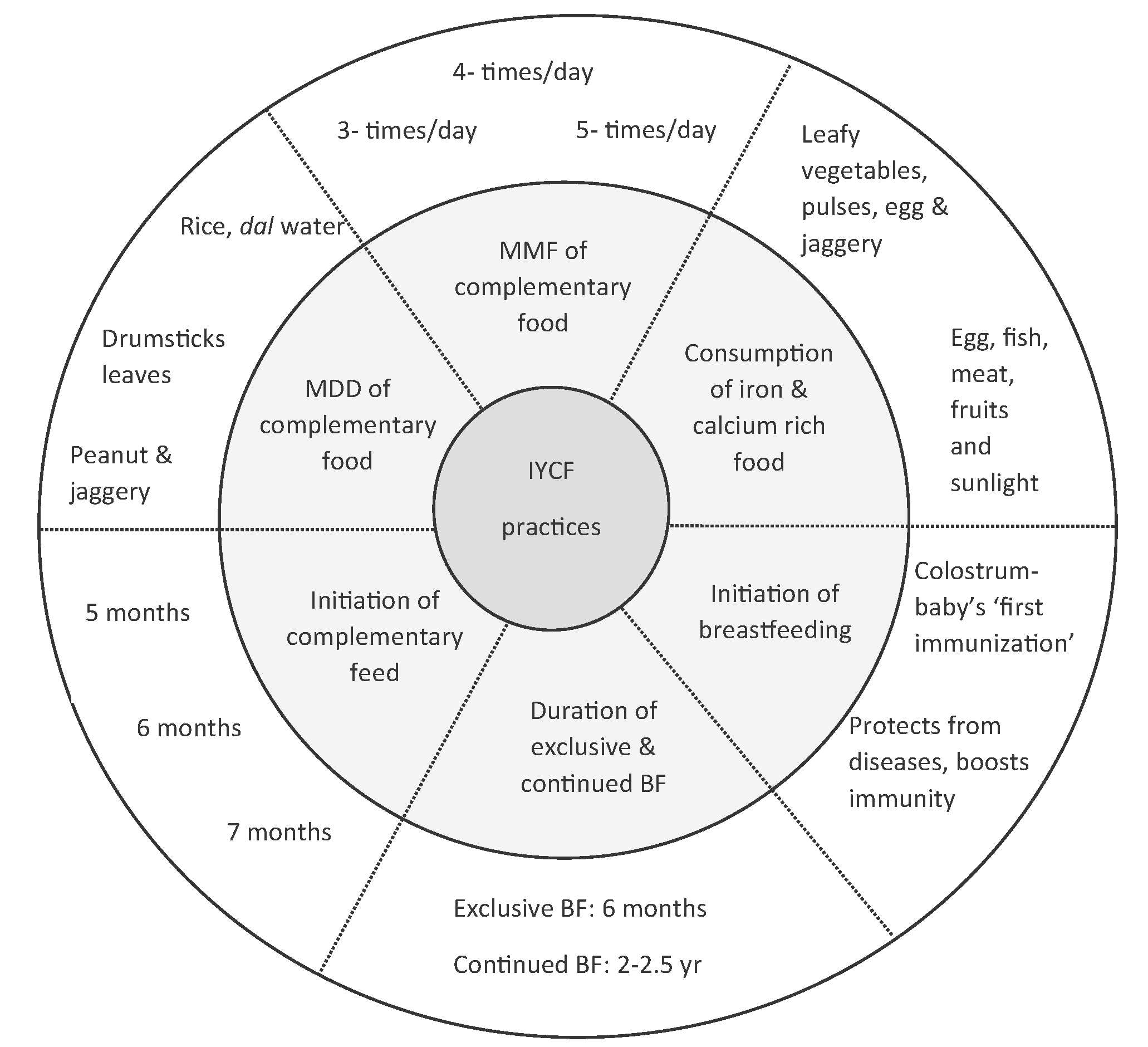 IYCF indicators along with perceptions and practices by frontline workers. The inner circle of the figure represents important themes considered for IYCF practices, such as MDD, MMF, breastfeeding, and complementary feeding practices. The outer circle represents the perspectives of frontline workers on IYCF practices based on the inner circle theme. IYCF, infant and young child feeding; MDD, minimum dietary diversity; MMF, minimum meal frequency.