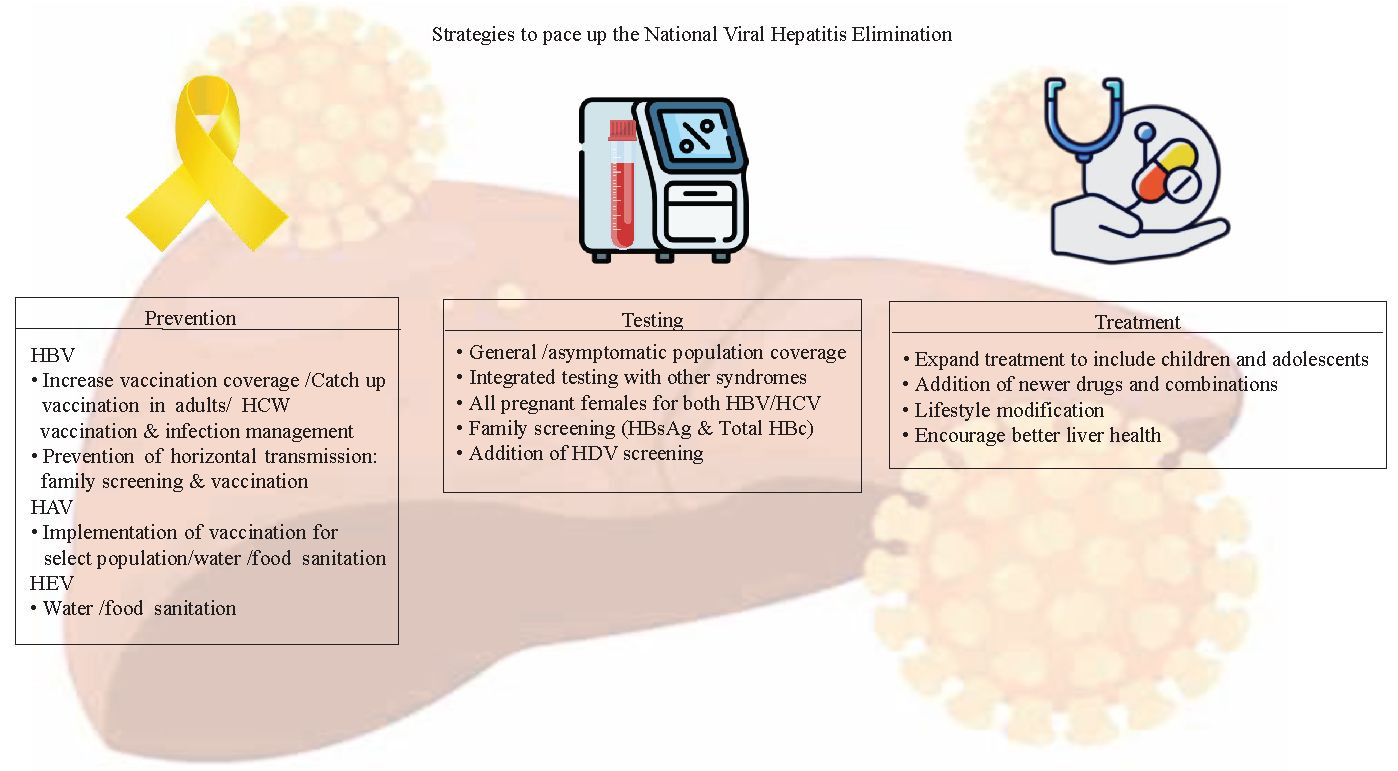 Strategies to pace up the National Viral Hepatitis Elimination. HBV, hepatitis B virus; HAV, hepatitis A virus; HEV, hepatitis E virus; HDV, hepatitis D virus; HCW, healthcare workers; HBsAg, hepatitis B surface antigen; HBc, hepatitis B core. [Source: Internet, copyright free images as declared by the authors].