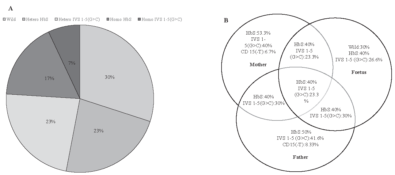 Distribution of Beta globin gene mutations. (A) Pie chart representing the distribution of Beta globin gene mutations in CVS samples. (B) Distribution of genetic mutations in Beta globin gene mutations among parents and foetuses illustrated by Venn Diagram.
