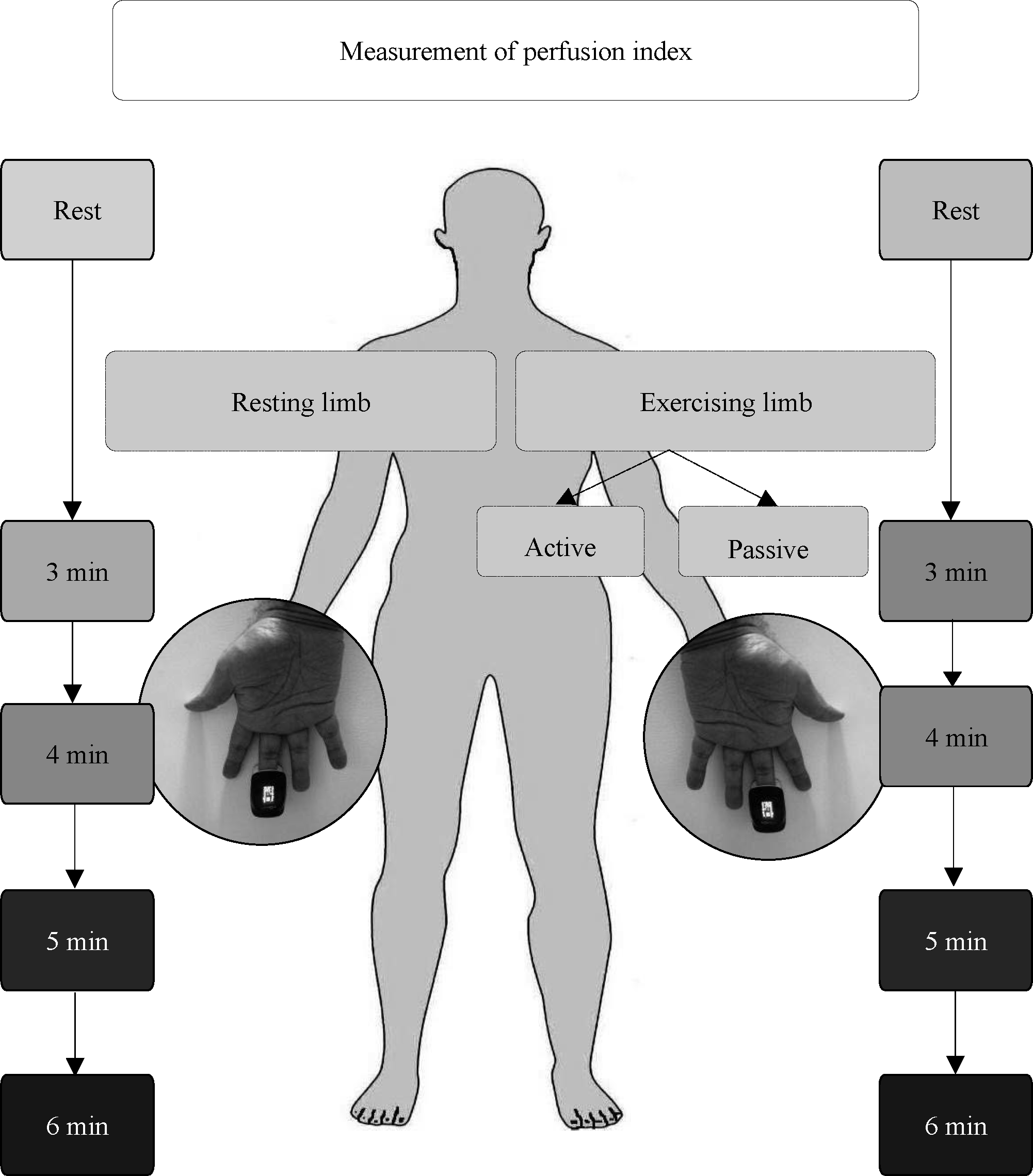 Measurement of perfusion index from resting and exercising limb.
